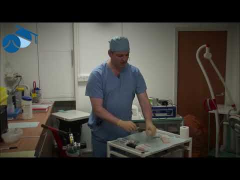 Tessari Method for producing sclosing Foam