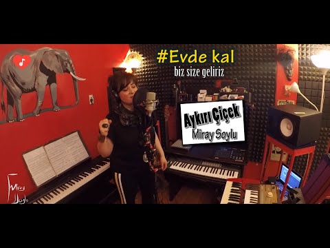 Miray soylu-Aykırı çiçek (Cover)