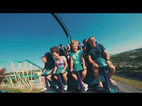 Mako short video by SeaWorld Orlando, Aquatica & Discovery Cove