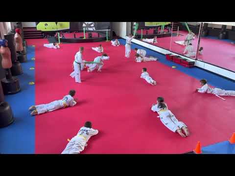 50.ACS Red Tigers Taekwon-do ITF Calan - Joc
