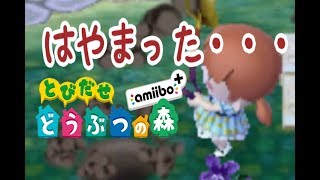 【とび森】金のじょうろって、、【実況#53】
