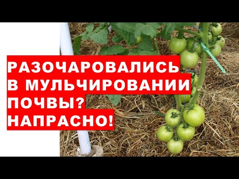 , title : 'Разочаровались в мульчировании почвы? Напрасно!'