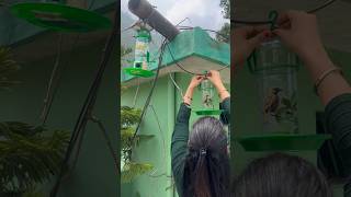 Automatic bird feeder🥰@Shoppingaddict3829