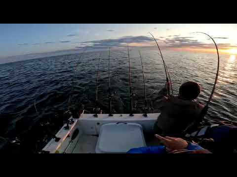 Lohi Ahvenanmaa 2023 duppel hook 11&20kg🔥