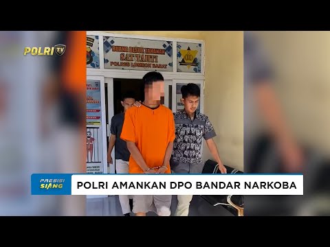 DPO BANDAR NARKOBA KARANG BOKOT DIAMANKAN POLRI