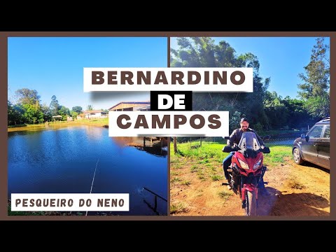BERNARDINO DE CAMPOS - PESQUEIRO DO NENO
