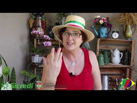 I filò - Cosa ze el Filò? Marlene Comin raconta par tuti.