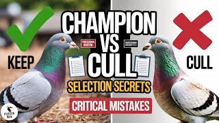 The 8-Factor System for Perfect Breeding Stock Selection
