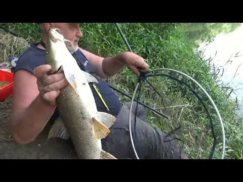 FEEDEROM NA KRUPNE SAVSKE RIBE - Ninoslav Žagar