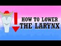 How To Masculinize Your Voice Transmasculine Voice Lowering The Larynx