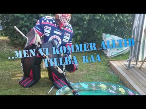 Per Stenfelt and friends - Goisare