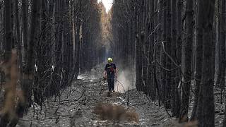 Incendios en Europa: Grecia evacúa a miles de personas por un incendio a 35 kilómetros de Atenas