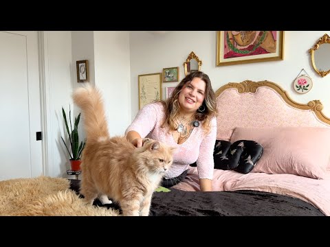 An apothecary of cats | Sophia Phillips Cat Lady Home Tour
