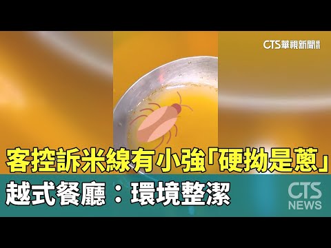 客控訴米線有小強「硬拗是蔥」　越式餐廳：環境整潔