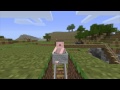 Minecraft Naked Hitler
