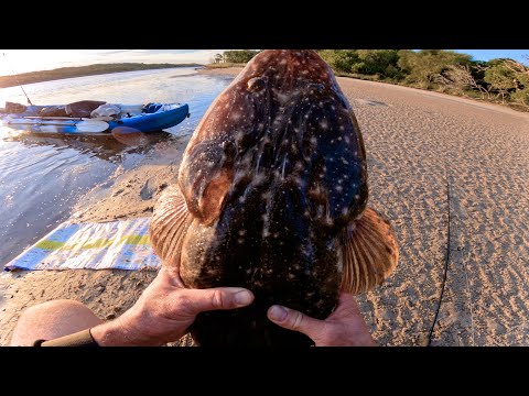 Chasing Monsters from the Kayak