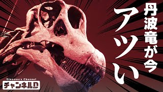 【恐竜解説】丹波竜(タンバティタニス)