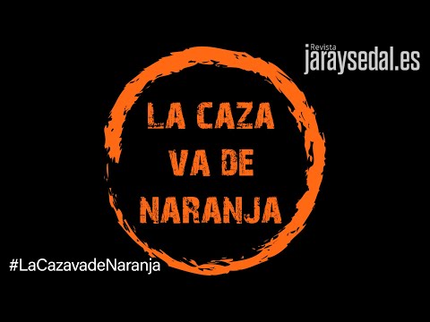 LA CAZA VA DE NARANJA - 20M RURAL