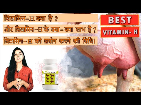 Toxin binder & acidifire (anfatox premium), cattle, packagin...