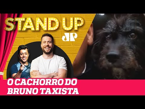 JOSÉ CIRILO, THE TAXI DRIVER'S DOG