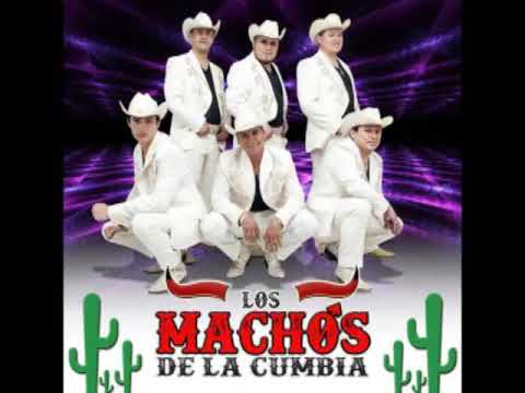 Mix de los Machos de la cumbia