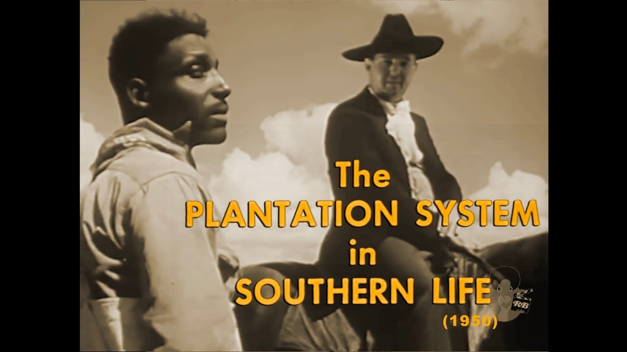 The Plantation System in Southern Life (1950)