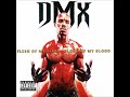 DMX - Keep Your Shit the Hardest