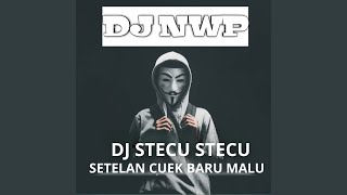 Download lagu Dj Stecu Stecu Setelan Cuek baru Malu mp3 Download lagu Dj Stecu Stecu Setelan Cuek baru Malu mp3