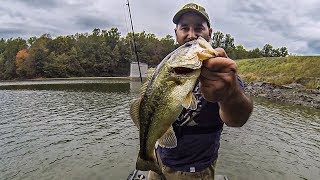 Fall Bass Fishing (Power Fishing with the Nasty's Thumper!!!) Vibrating Jig