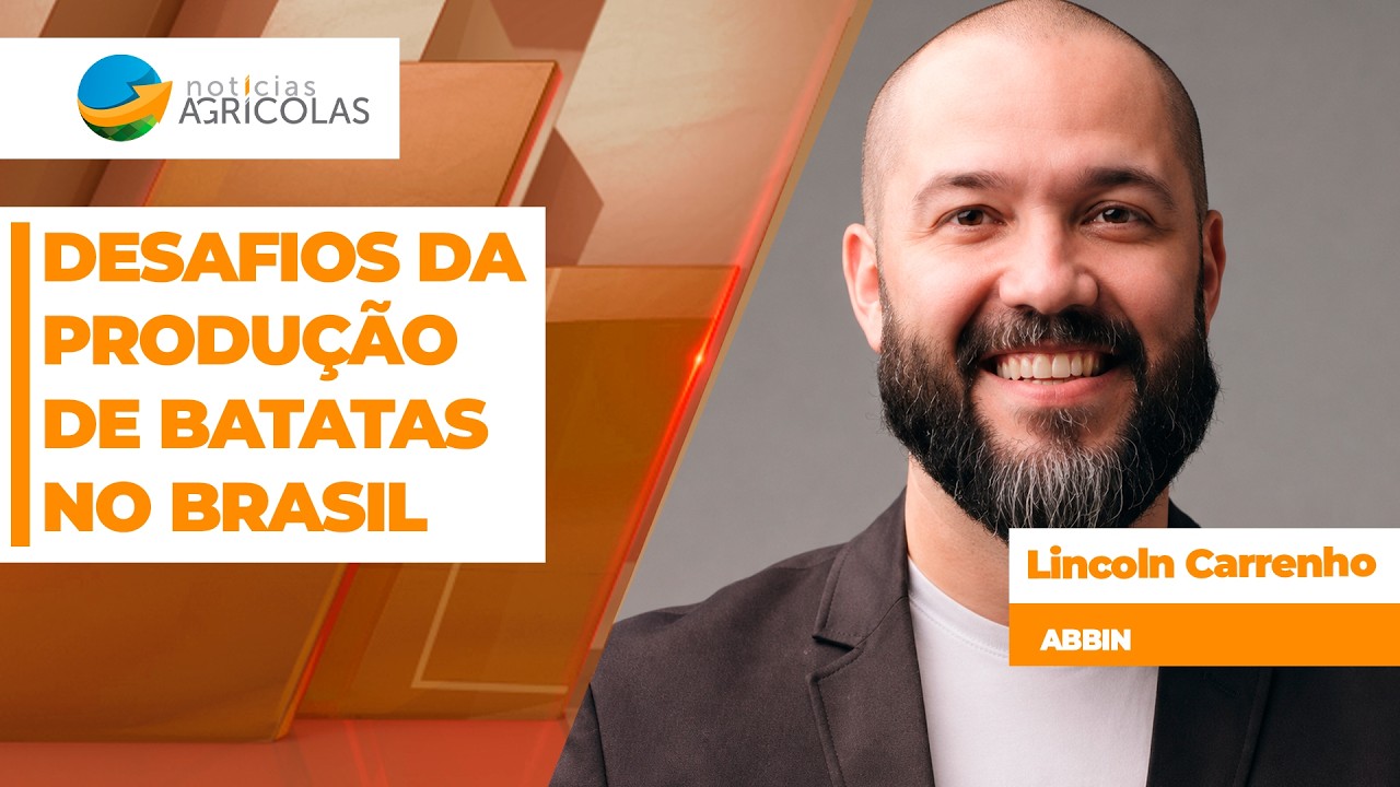 Desafios da produção de batatas no Brasil