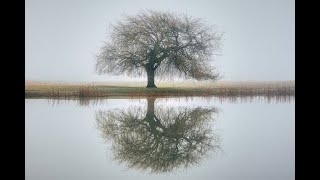 Download the video "Endometriosi 2: il valore predittivo dei cicli abbondanti"