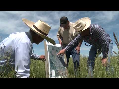 Implementing Good Conservation Practices