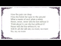 Dishwalla - All She Can See Lyrics