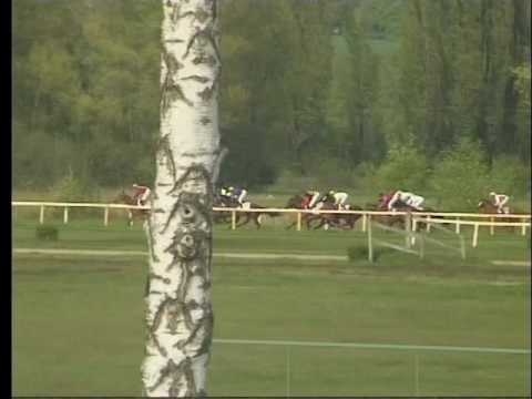 LL, 1. 5. 2017, 7. dostih - Cena Hotelu Olympionik