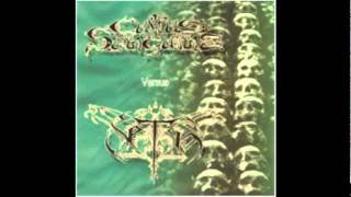 Seth - The Calling Illusion