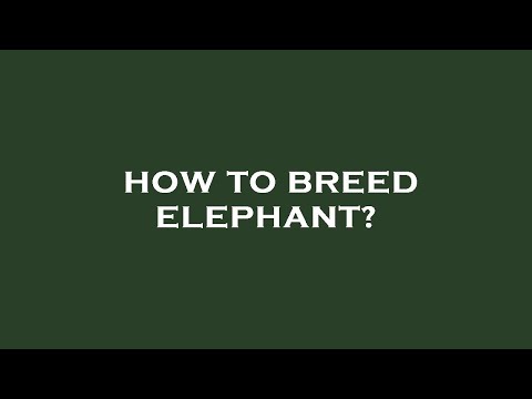 How to breed elephant?