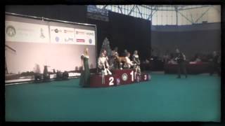 Nana goes
BEST IN SHOW PUPPY