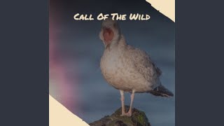 Christmas Auld Lang Syne