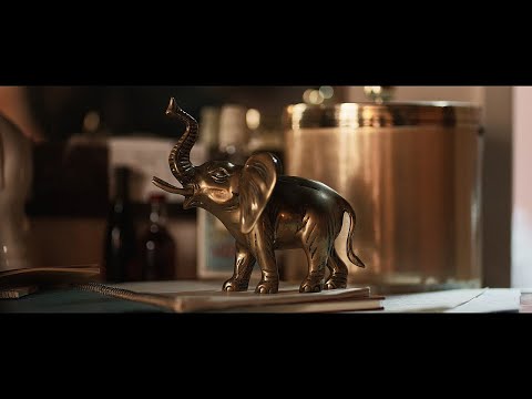 Video thumbnail for Éléphant