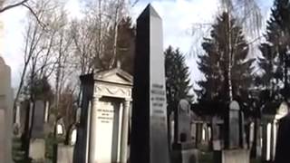 Le Pharaon Show (l`original de Dr. Sdf. Sean Hross dans une film)