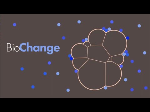 Company introduction video logo