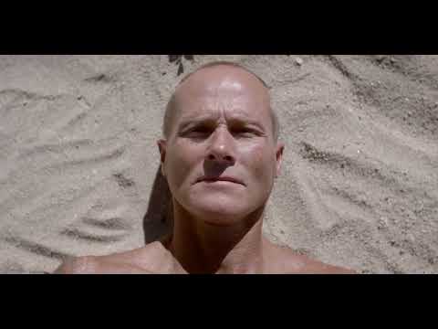 PURE EUPHORIA - A JOURNEY OF CONSCIOUSNESS