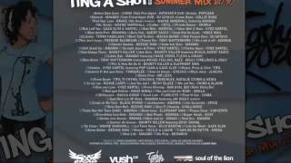 Tasha Rozez - Ting A Shot (Summer Mix 2010) (Dancehall Mixtape 2010)