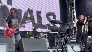 Baby Animals - Rush You