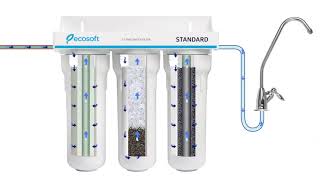 Ecosoft Standard (FMV3ECOSTD) - відео 2