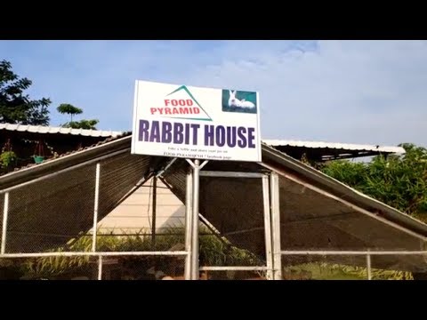 download lagu mp3 mp4 Hyderabad Bangalore Highway Places To Eat, download lagu Hyderabad Bangalore Highway Places To Eat gratis, unduh video klip Hyderabad Bangalore Highway Places To Eat