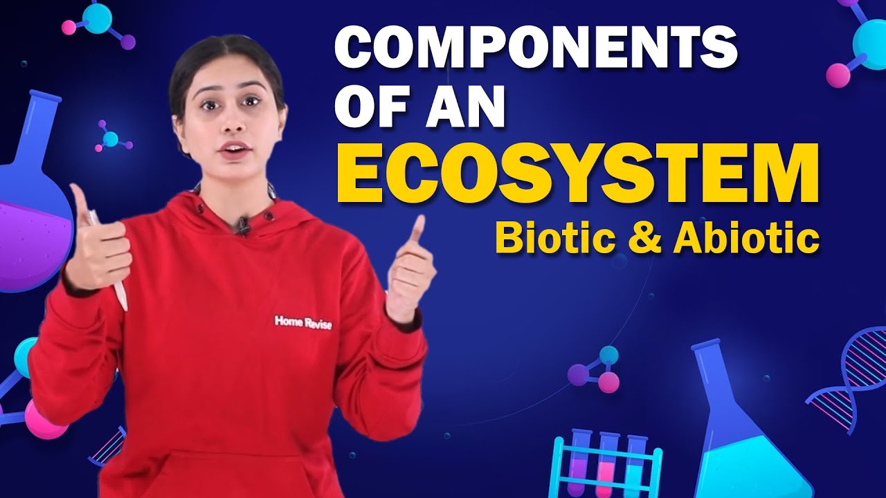 Components of an Ecosystem | Biotic and Abiotic | Biology | Class 8 ICSE | Home Revise