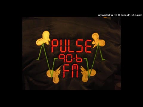 Artful Dodger - Pulse 90.6 FM - 1993