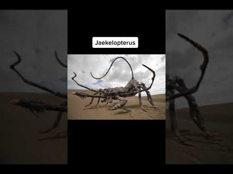 Animals You're Glad Are Extinct