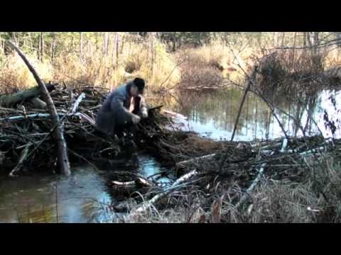 Promo Televiziunea Exclusiv TV din Onesti Bacau Moldova Romania   sa fim mai buni ! HD